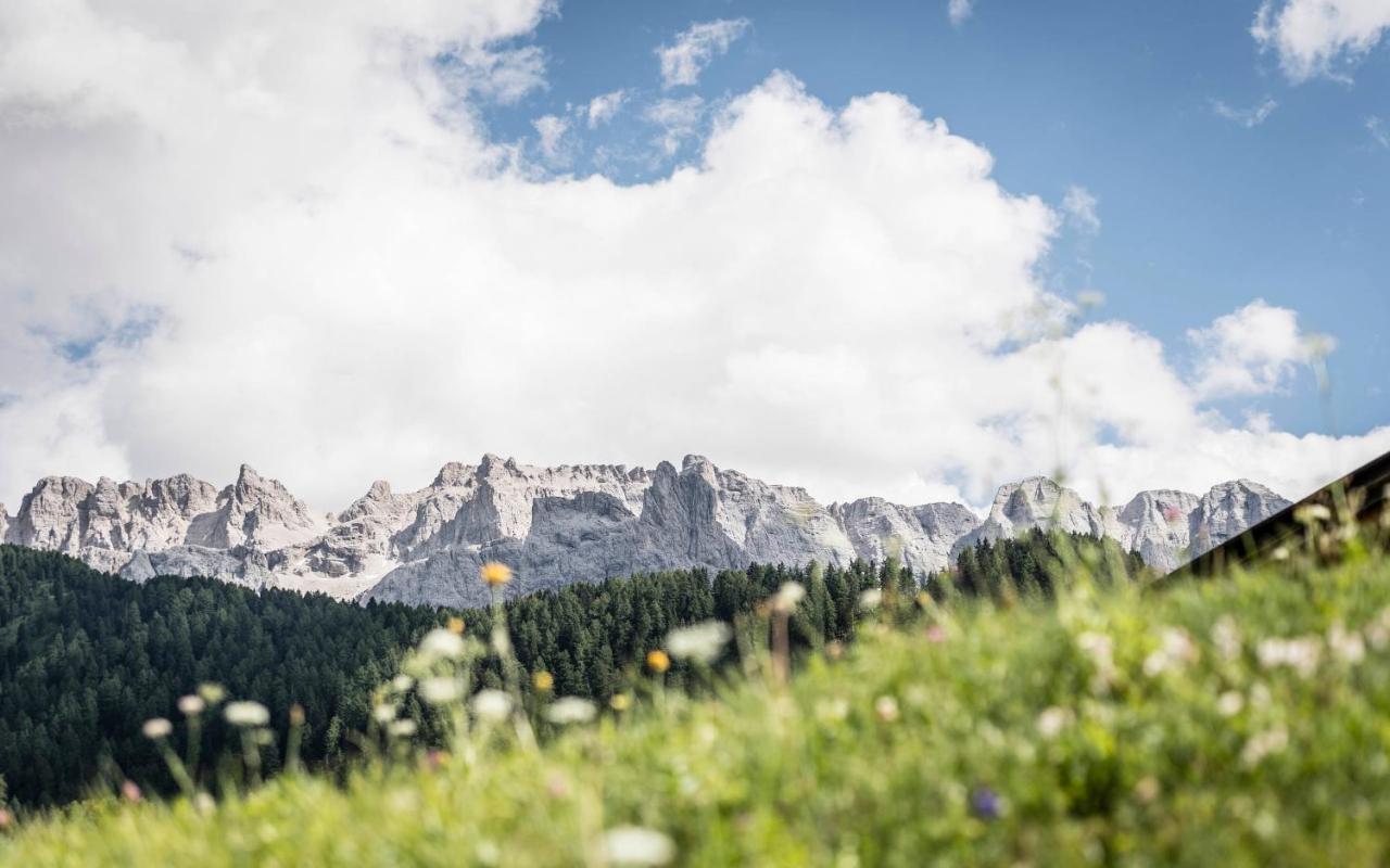 Cadepunt The Dolomites Lodge Selva di Val Gardena Ngoại thất bức ảnh