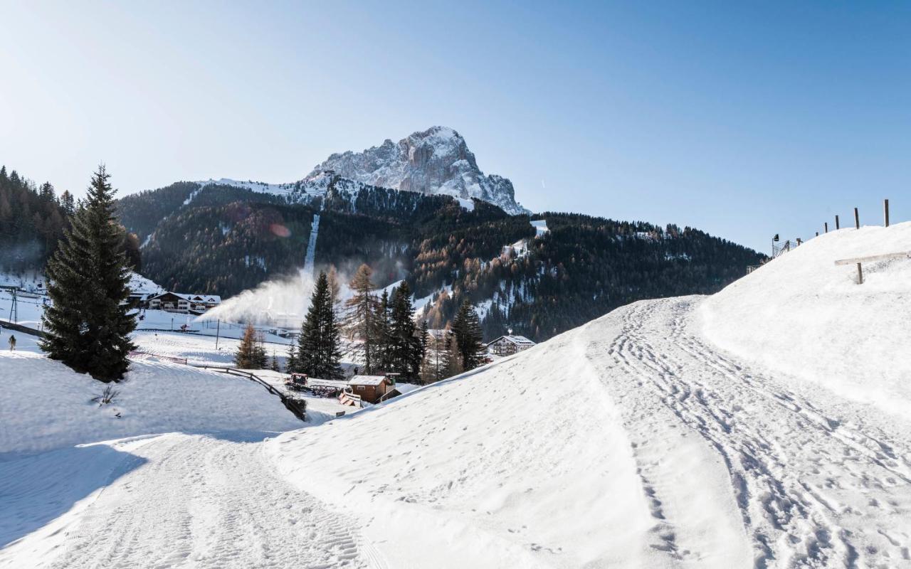 Cadepunt The Dolomites Lodge Selva di Val Gardena Ngoại thất bức ảnh